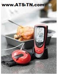 Talking Portable Oven Thermometer