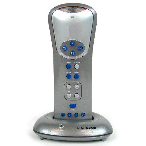 voice activated remote control