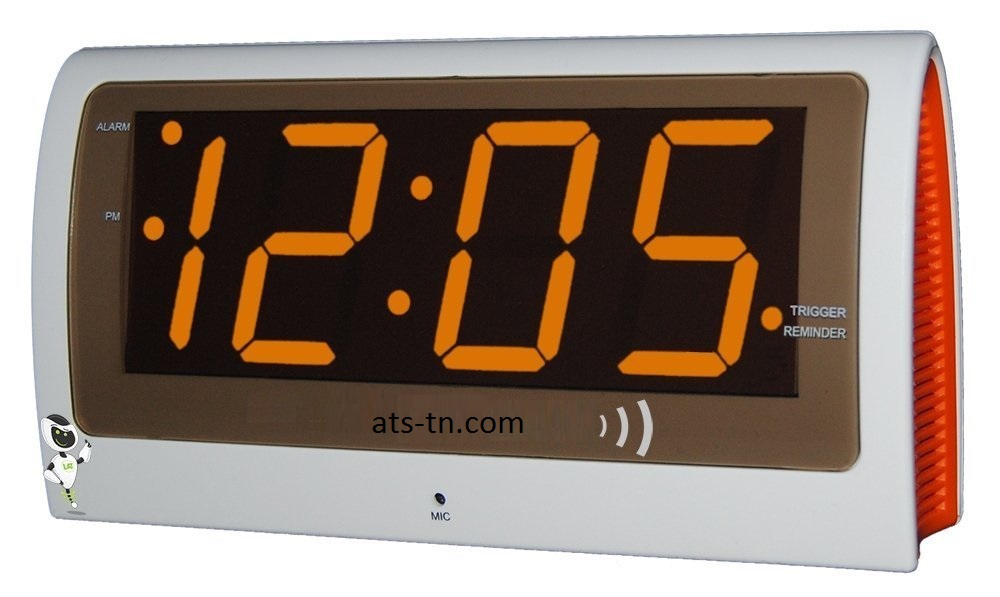 voice reminder clock