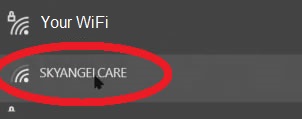 skyangelcare select wifi